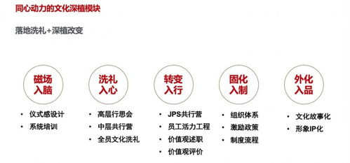 企業(yè)文化管理 我們的專(zhuān)注業(yè)務(wù) 同心動(dòng)力