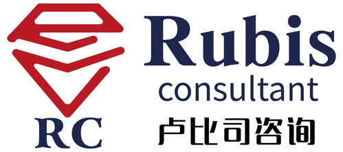 上海盧比司企業(yè)管理咨詢(xún)