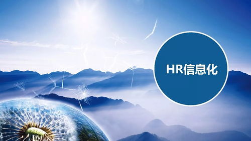同博企業(yè)管理咨詢 hr信息化篇