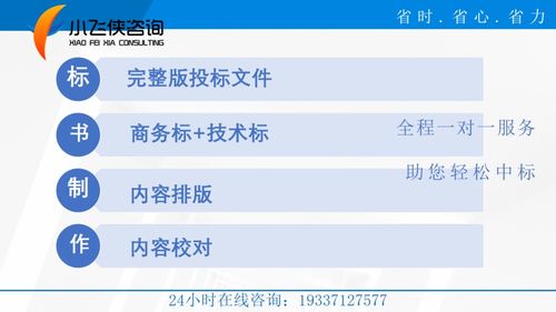 太康縣2021標書制作本地公司 放心省心 小飛俠咨詢