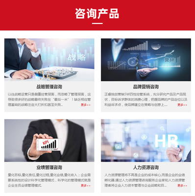 企業(yè)戰(zhàn)略咨詢-正睿咨詢(在線咨詢)-戰(zhàn)略咨詢