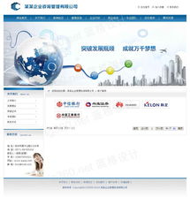 咨詢公司網(wǎng)站, 頁(yè)面設(shè)計(jì), 企業(yè)管理行業(yè)