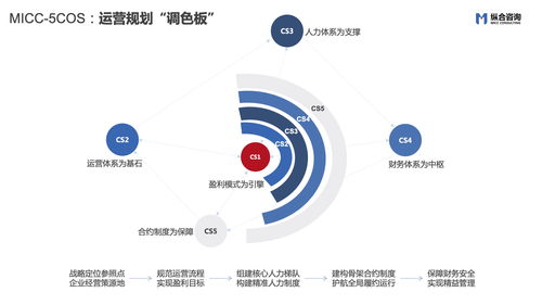 縱合咨詢micc 企業(yè)戰(zhàn)略定位及管理咨詢領(lǐng)域的特色品質(zhì)企業(yè)
